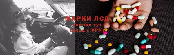 прущие грибы Алексеевка