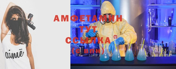 дмт Алексин