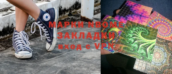 гидра Богородицк