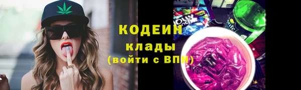 прущие грибы Алексеевка