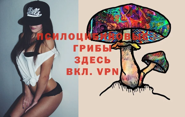 дмт Алексин