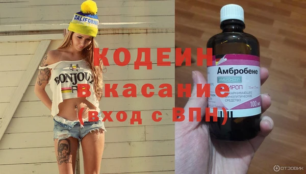 прущие грибы Алексеевка